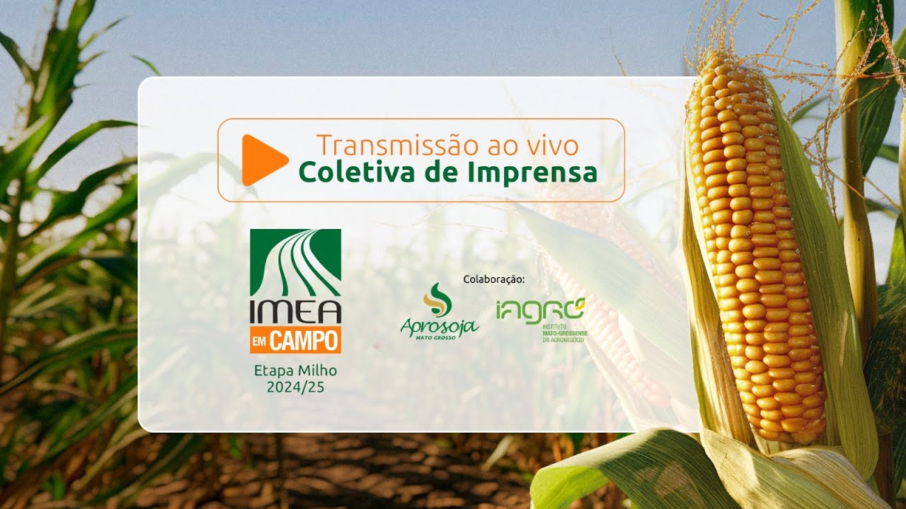 Coletiva de Imprensa | Imea em Campo – Etapa Milho 2024/25 🌽