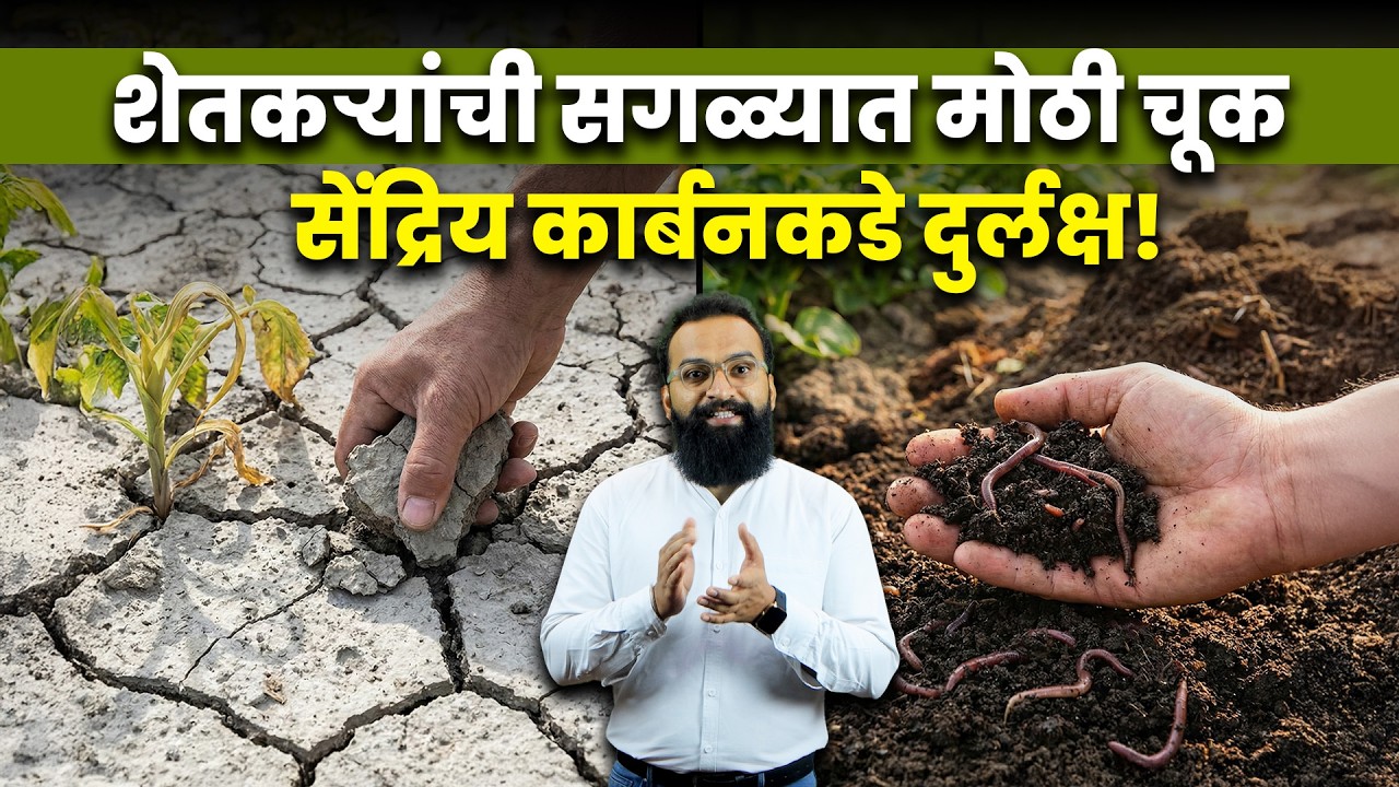 जमीन वाचवा, शेती टिकवा – सेंद्रिय कार्बन वाढवा I Soil Conservation I AgroStar