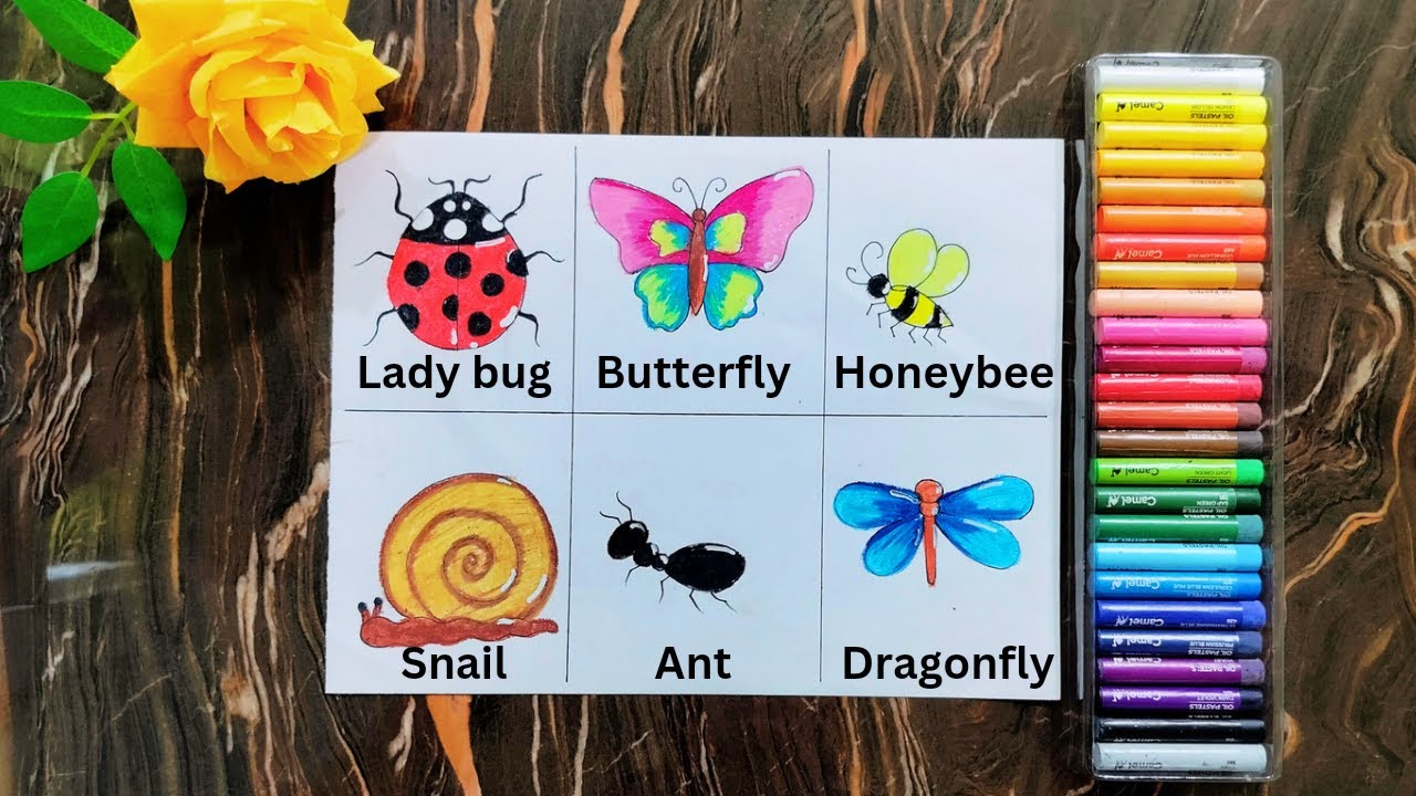 How to draw types of insects//Different types of insects drawing//Easy insects drawing