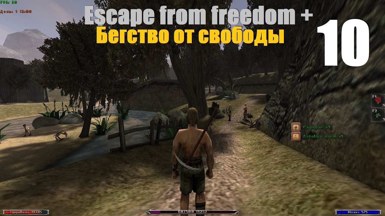 Г1: Бегство от свободы, #10 | Жадный орк, питомец для Спики, навещаем Альтарфа, письмо Ли.  #gothic