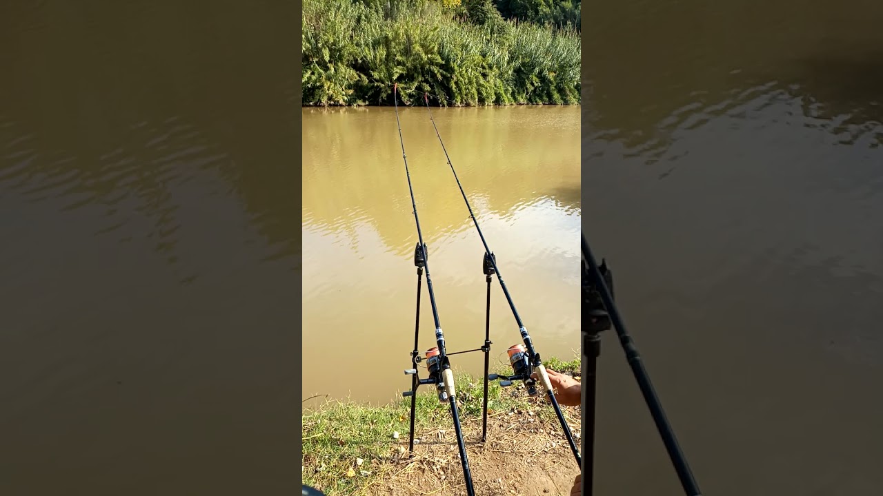 picadas en el r&iacute;o Llobregat