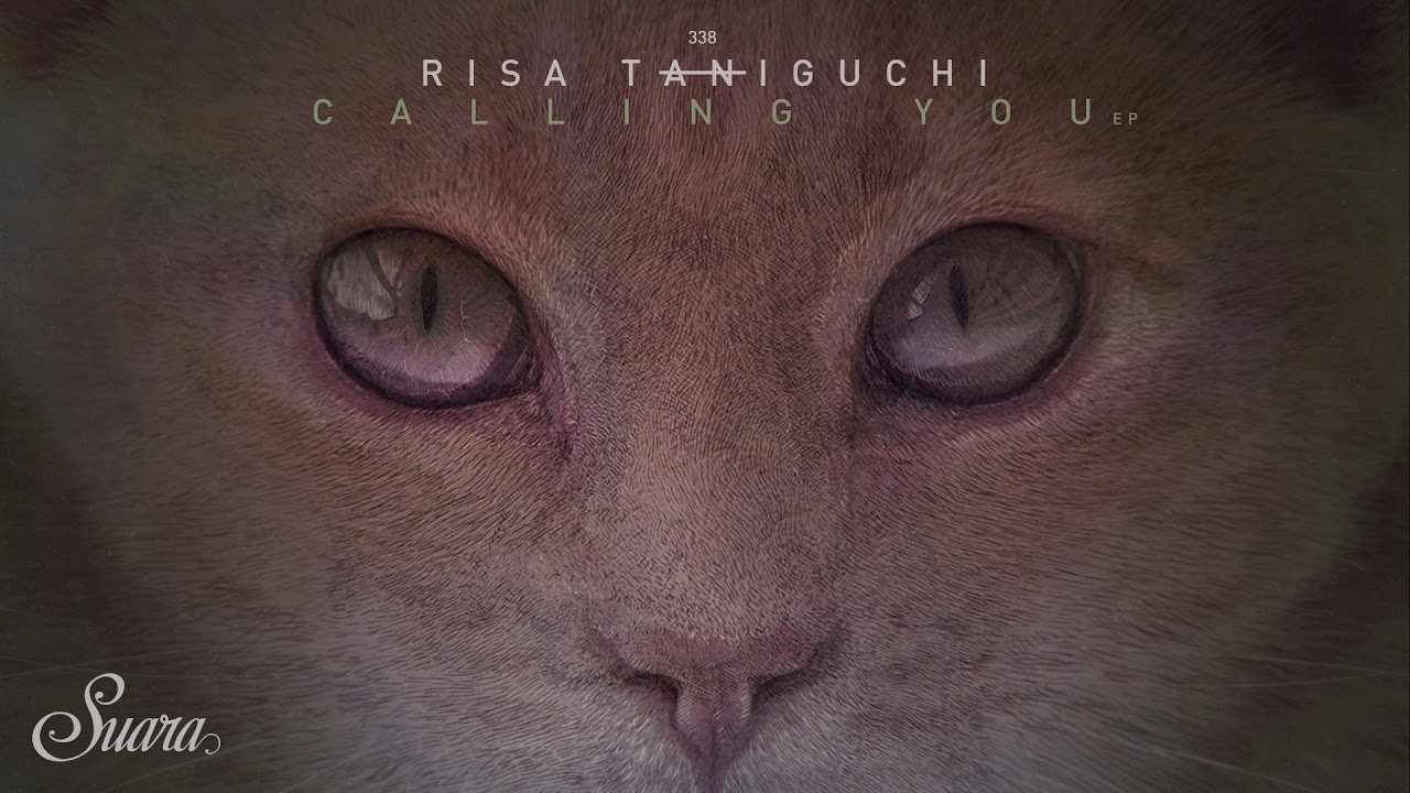 Risa Taniguchi & Yotam Avni - Tanigavni (Original Mix) [Suara]