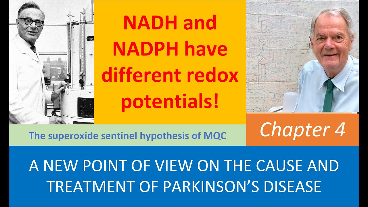 Chapter4 NADH and NADPH have different redox potentials: The super oxide sentinel hypothesis of MQC