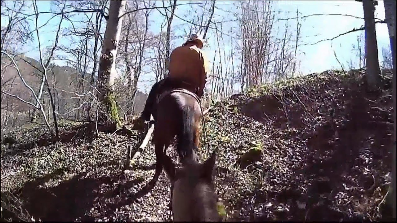 Extrem Trail auf der Schwäbischen Alb Part 4 HD