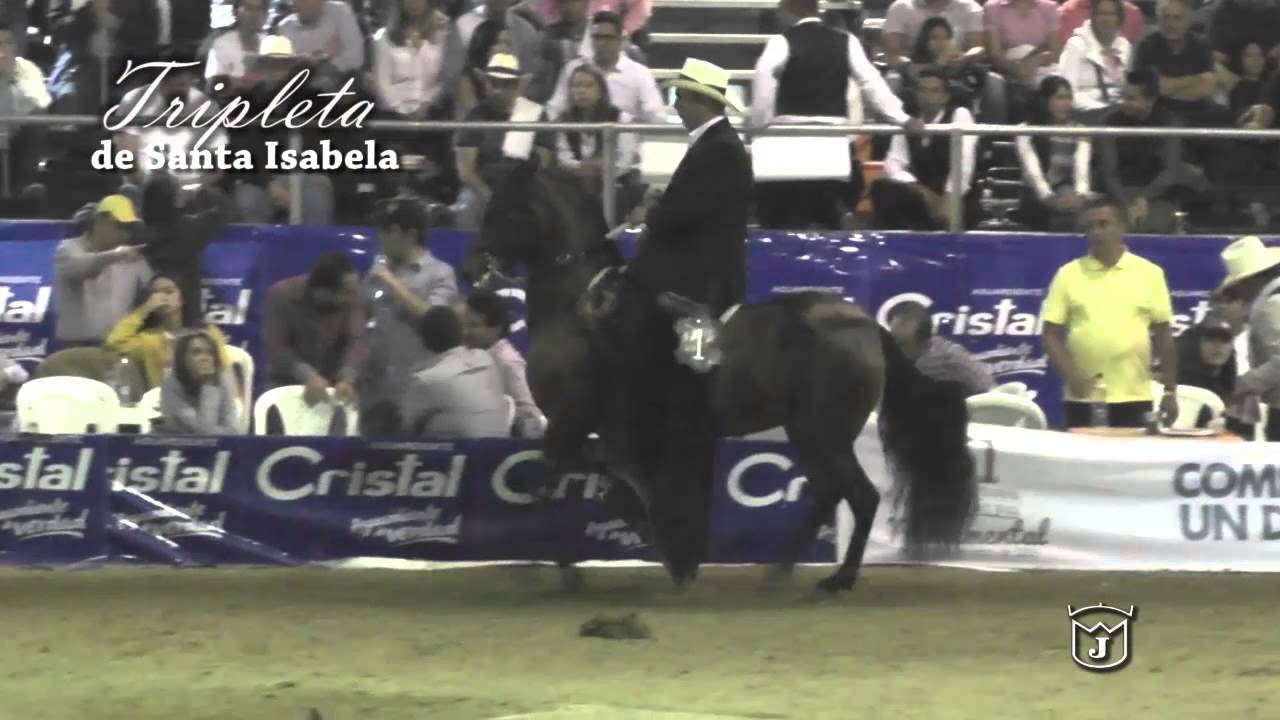 TRIPLETA DE SANTA ISABELA, GRAN CAMPEONA Trocha colombiana MANIZALES GRADO A 2015 - Rey de la Sabana
