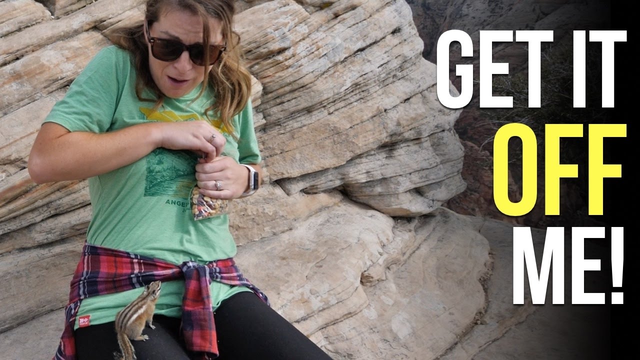 How Dangerous is Angels Landing in Zion National Park?