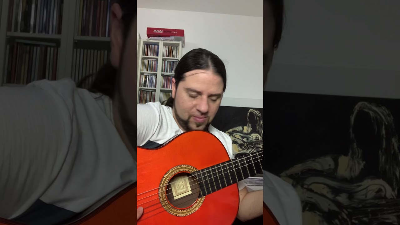 Vac&iacute;o sin Significado - Flavio Rodrigues - Guitarra Flamenca / Viol&atilde;o Flamenco / Flamenco Guitar