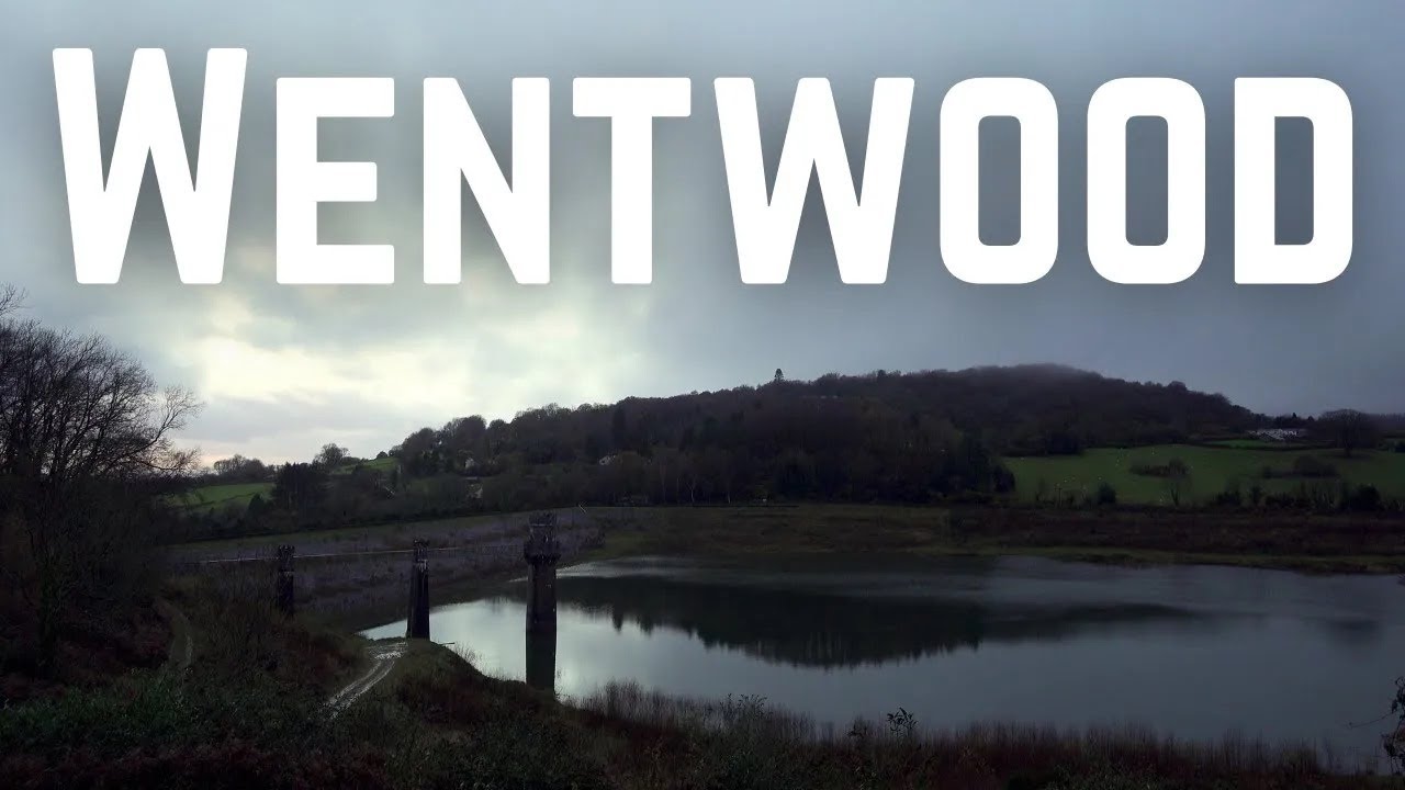 Wentwood - an ancient forest in South Wales
