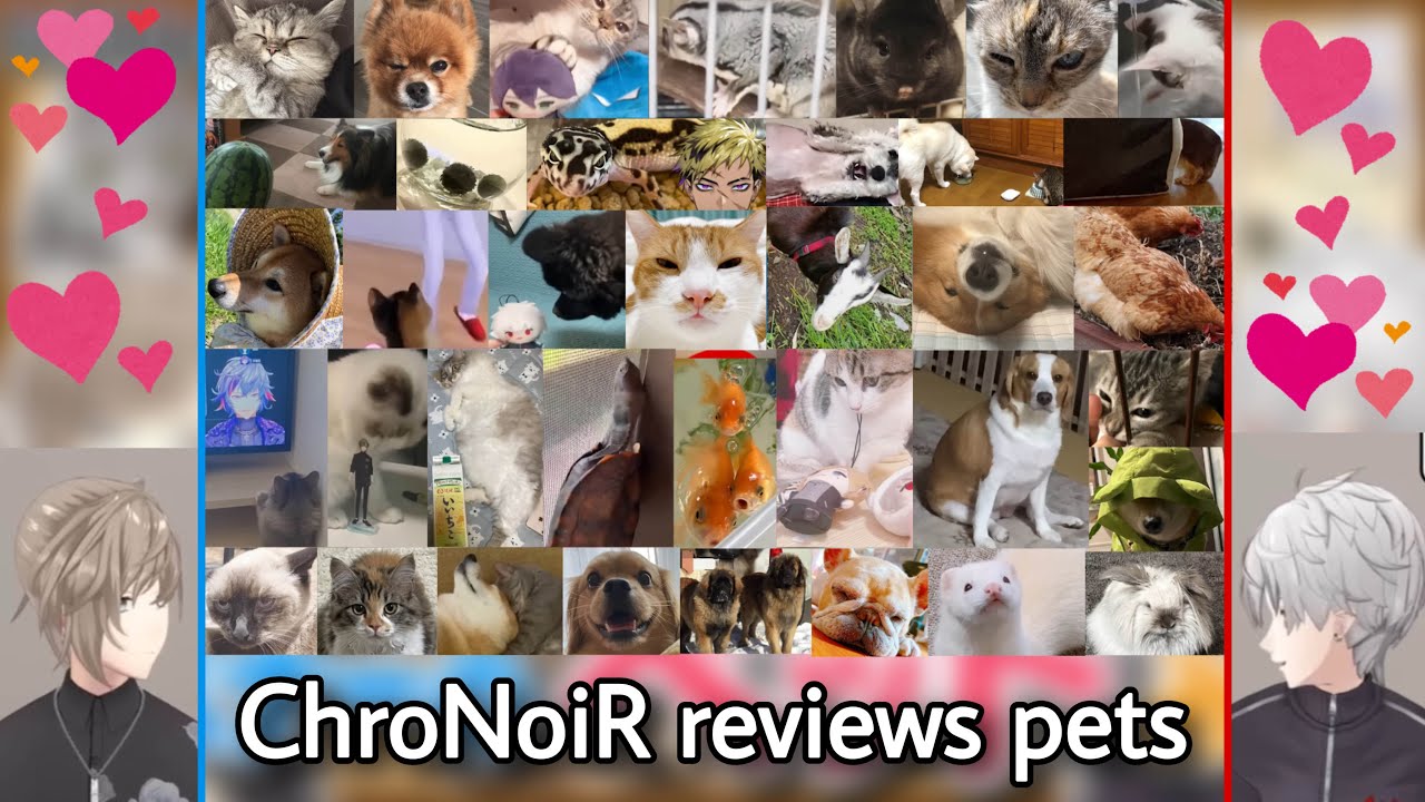 chronoir reviews pets! | Nijisanji eng subs