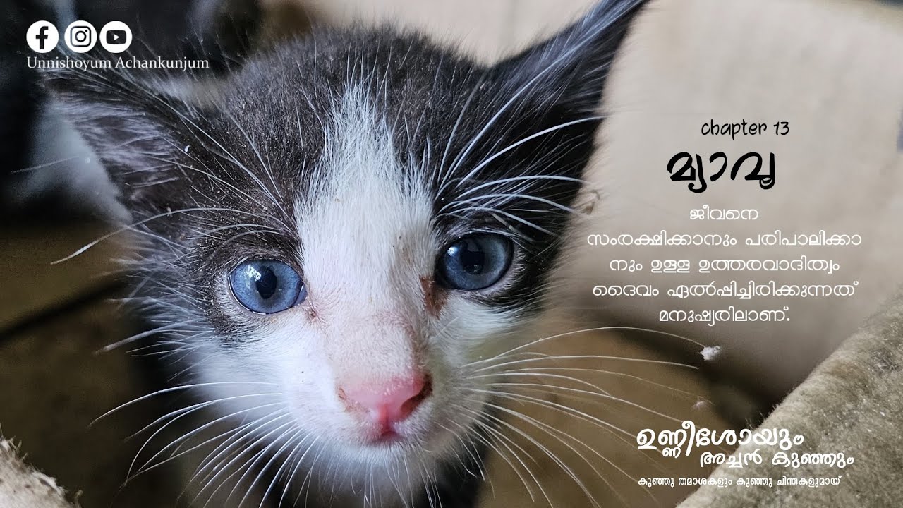 ദേ നമ്മെ ദൈവം സൃഷ്ടിച്ചത് ഇതിനു വേണ്ടിയാട്ടോ! / മ്യാവൂ / chapter 13