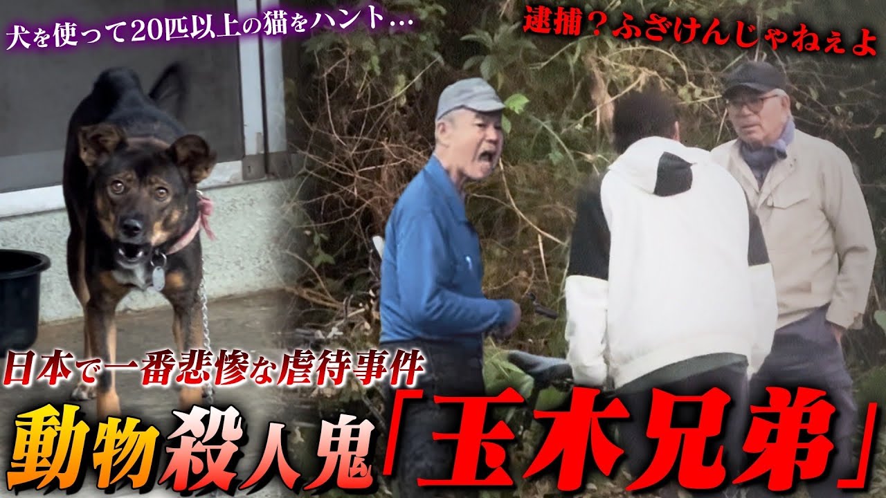 「殺した猫は川にぶん投げる」凶暴な飼い犬を使って猫狩りを楽しむ玉木兄弟に突撃しました