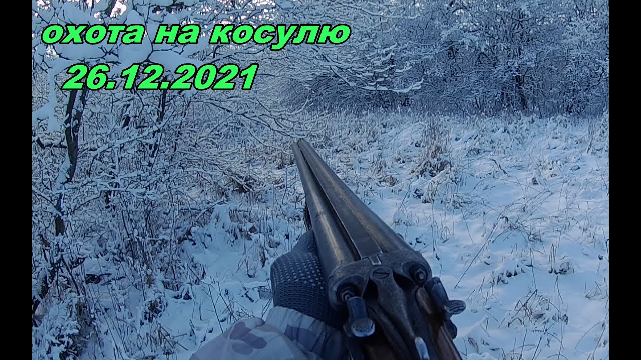 загонная охота на косулю 26.12.2021