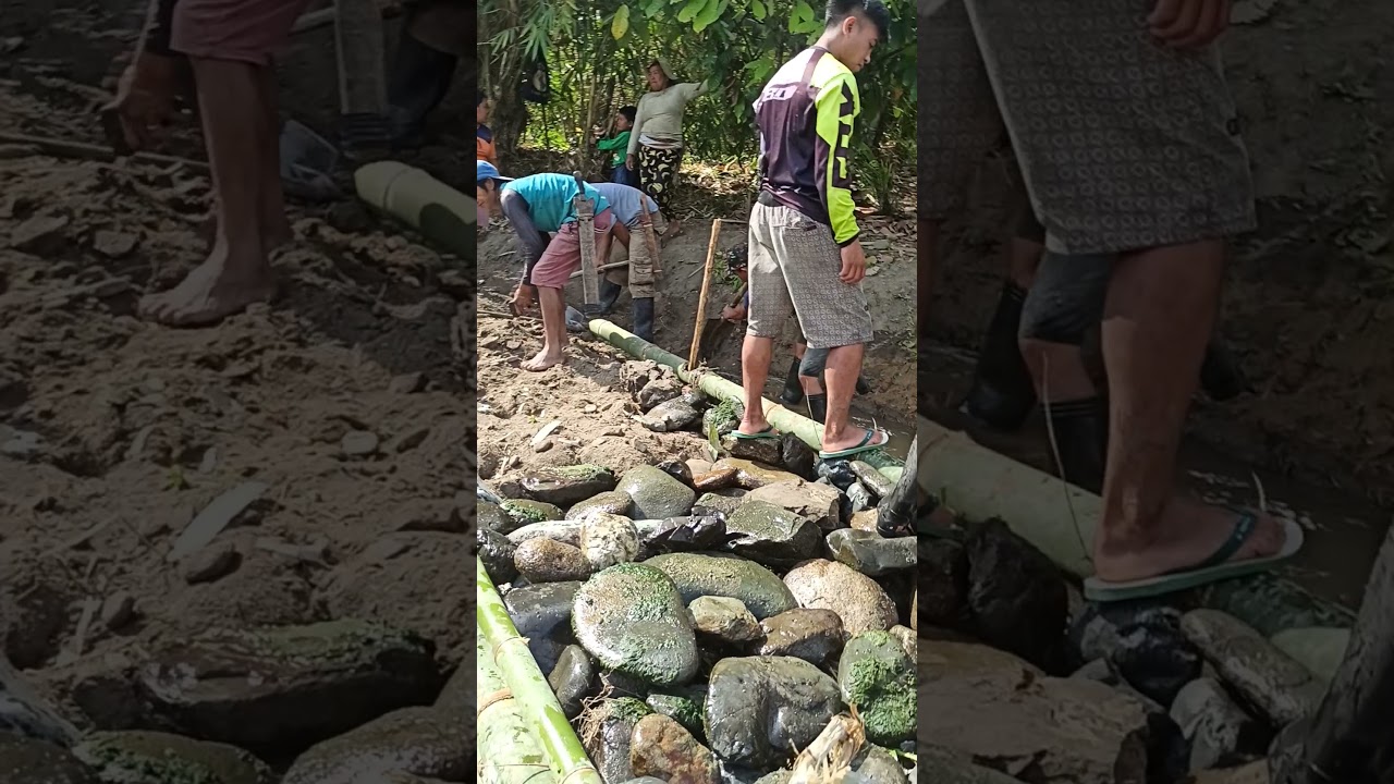 Pembuatan bendungan saluran irigasi sederhana secara manual