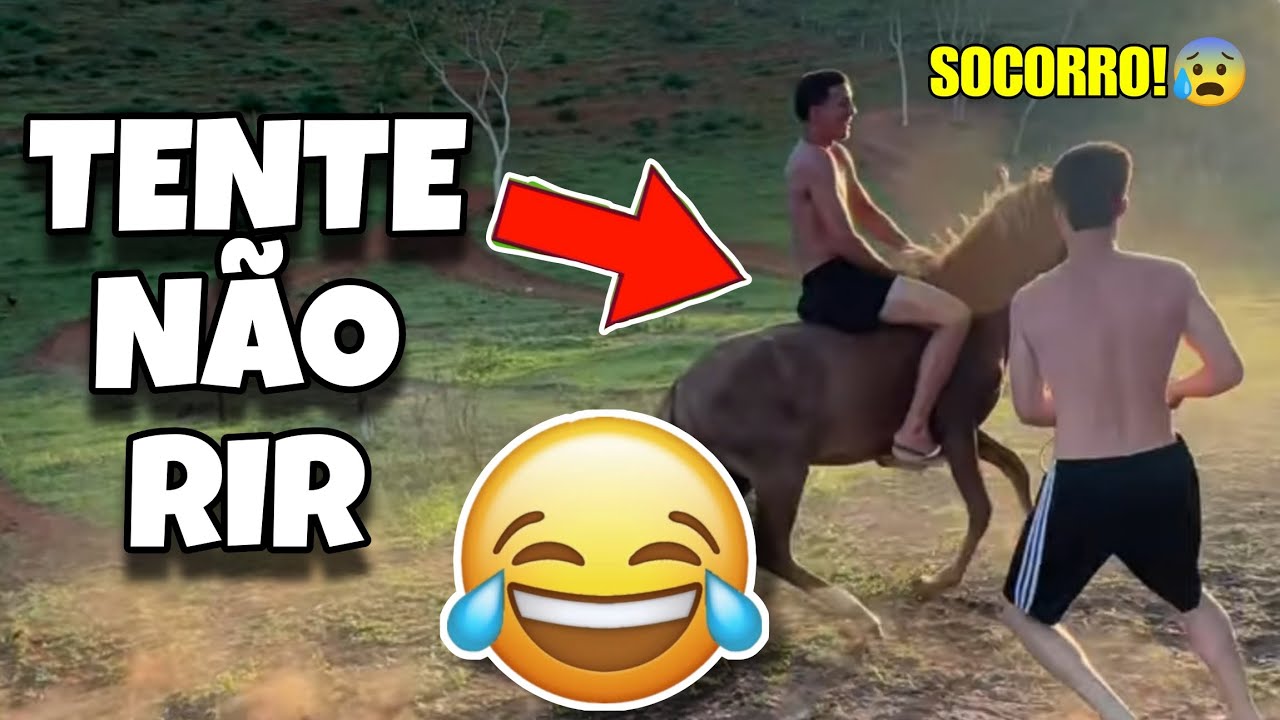 TENTE NÃO RIR: OS MELHORES VÍDEOS DA INTERNET #tentenaorir #videosengracados #humor #comedia #tiktok