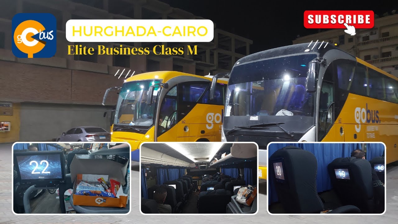 Review Elite Business Class M Go Bus Mesir