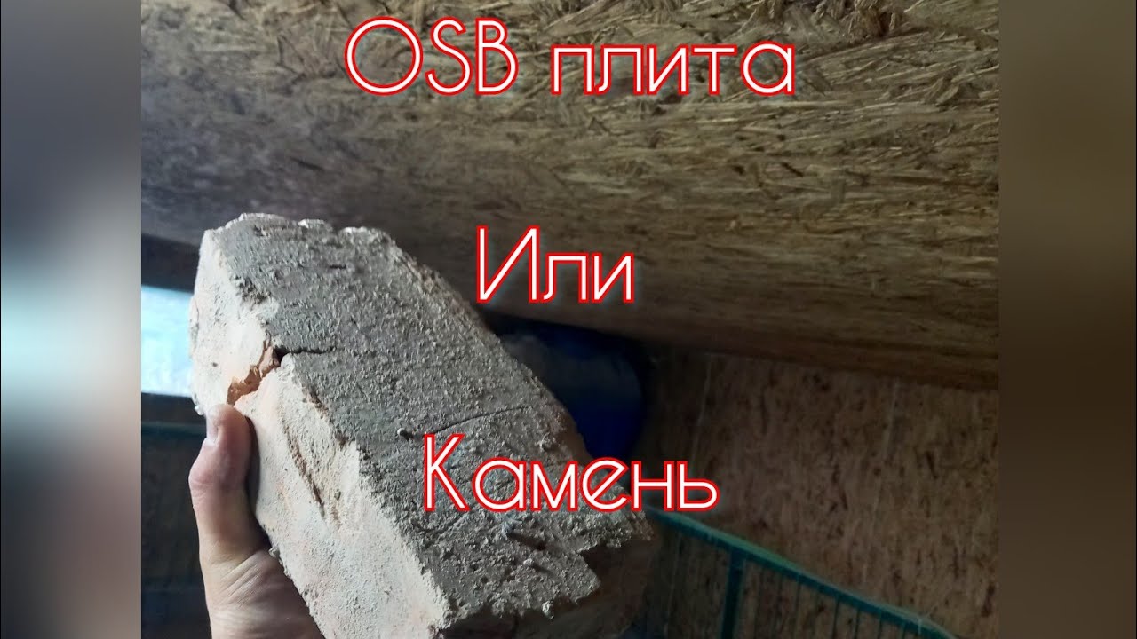 Новый свинарник. Лучший вариант постройки и отделка внутрешних стен.