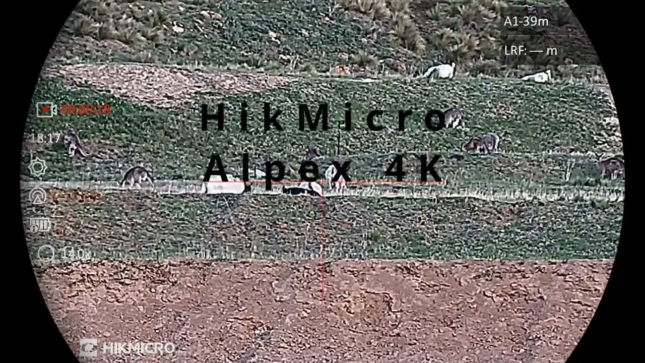HikMicro Alpex 4K - Live targets on range day