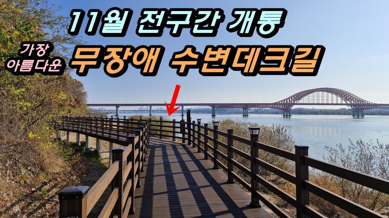 11월에 드디어 전구간이 개통된 무장애 수변데크길을 지나 바람누리길 걷기. 가장 아름다운 한강하구 수변데크길. 대중교통 타고 혼자 떠나는 당일치기 도보여행, 가을 트레킹