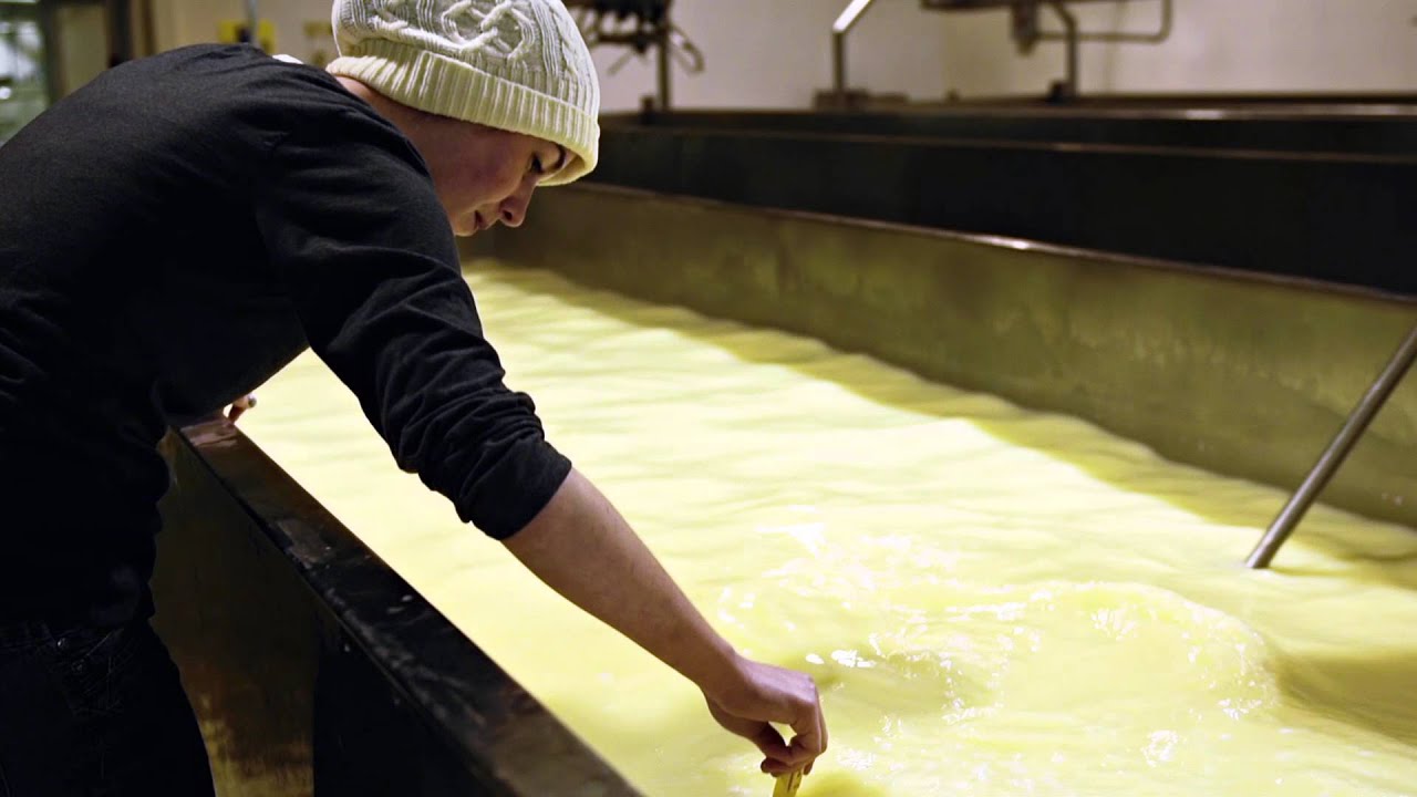 Oregon's artisan cheese industry ages well with OSU's help