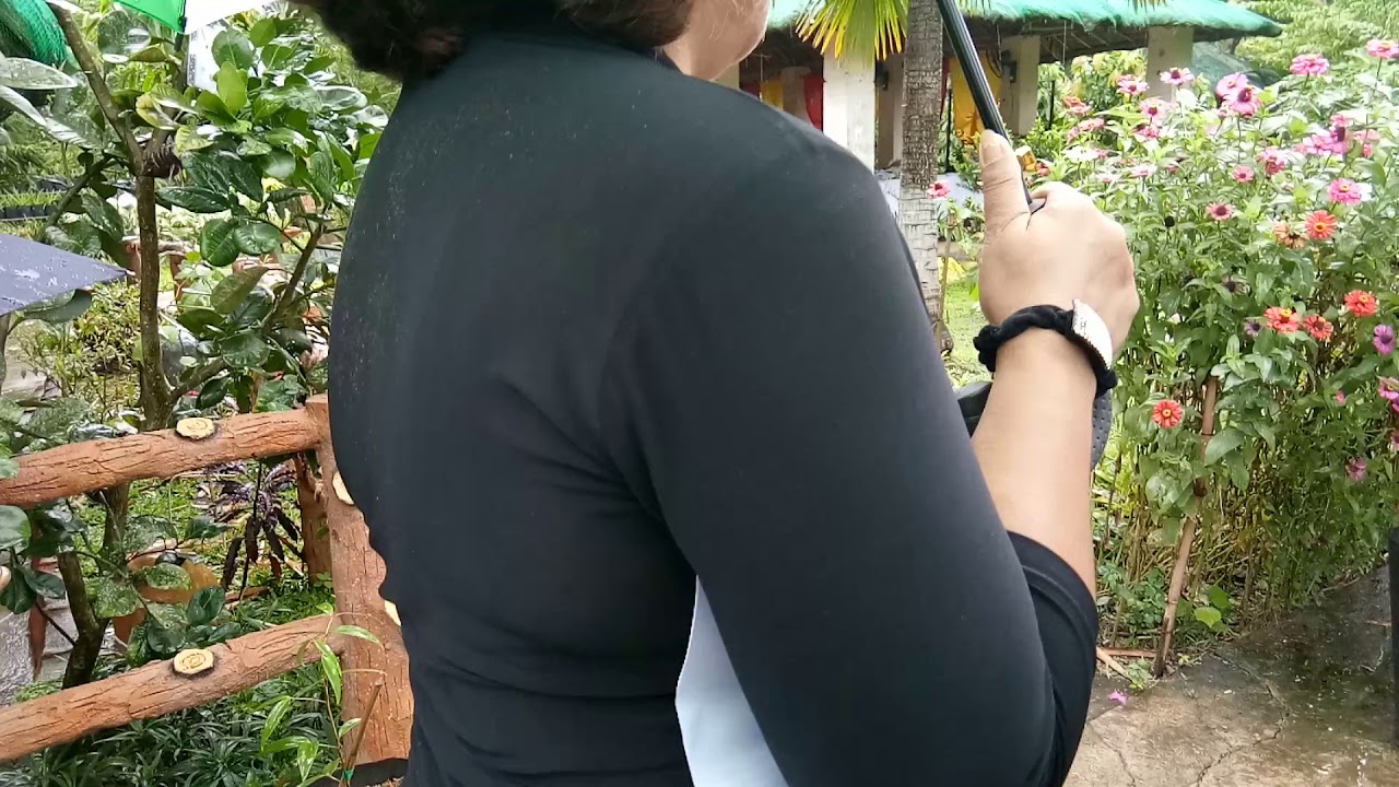 A Quick Tour of MOCA Family Farm in Batangas