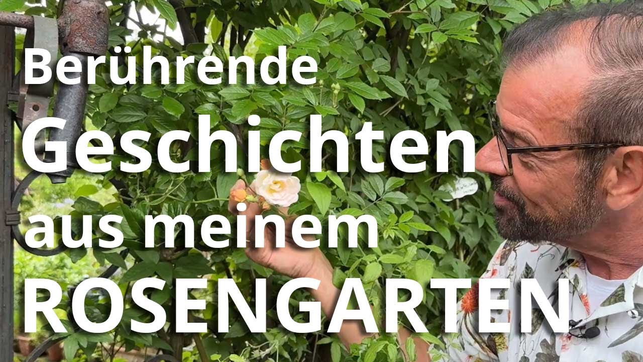 Die BERÜHRENDSTEN Geschichten aus meinem ROSENGARTEN