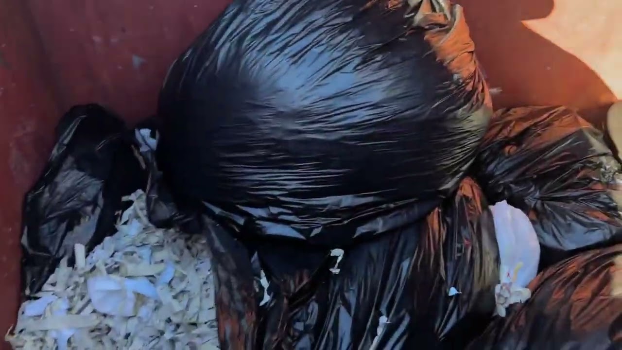 Dumpster Diving - Lots of Toys From An Unlikely Place!