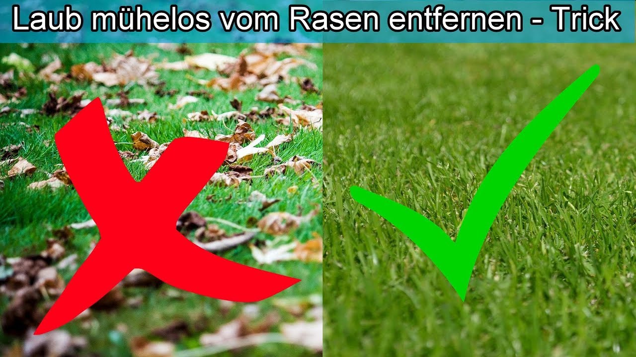 Laub vom Rasen m&uuml;helos & schnell entfernen &ndash; Lifehack / Laub mit Rasenm&auml;her aufsaugen &ndash; Herbst Tipps