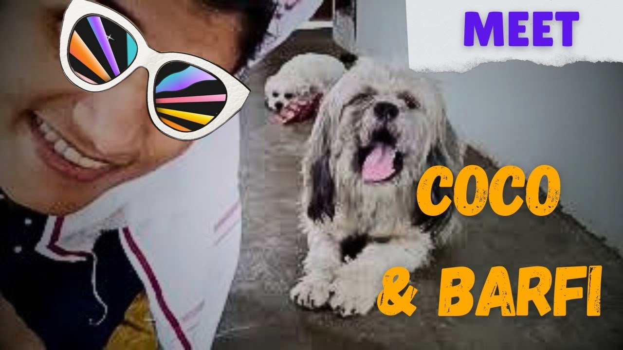 My First Vlog | KY2 | 24