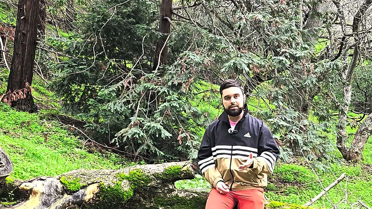 Человек будущего. Кто ты в новой эпохе?