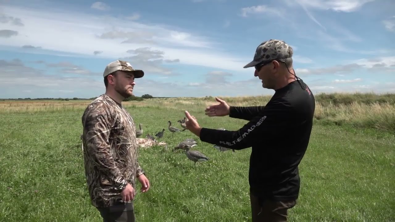 Hvordan skal mine lokkefugle st&aring;?  - 