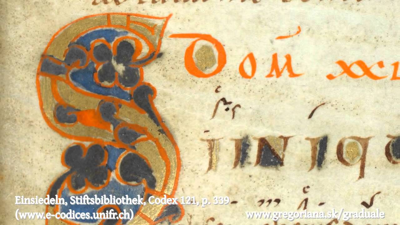 Introitus: Si iniquitates
