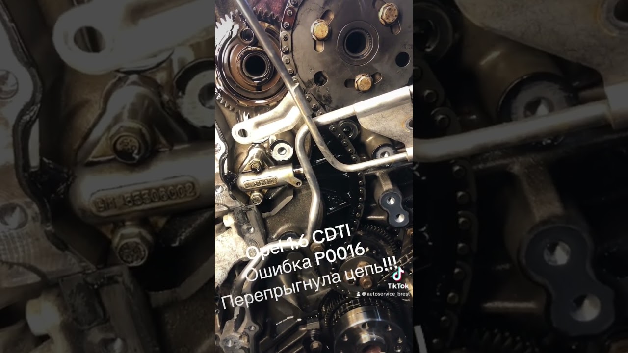 Opel 1.6 CDTI ошибка P0016, прыгнула цепь!!!#автосервисбрест #opel#грм