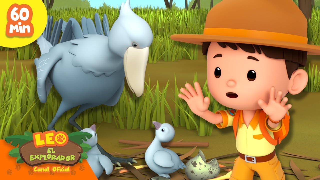¡UNA MADRE PÁJARO ALIMENTANDO A SUS BEBÉS! 🐓🐣 | Grandes Pájaros | Leo, El Explorador | Animación