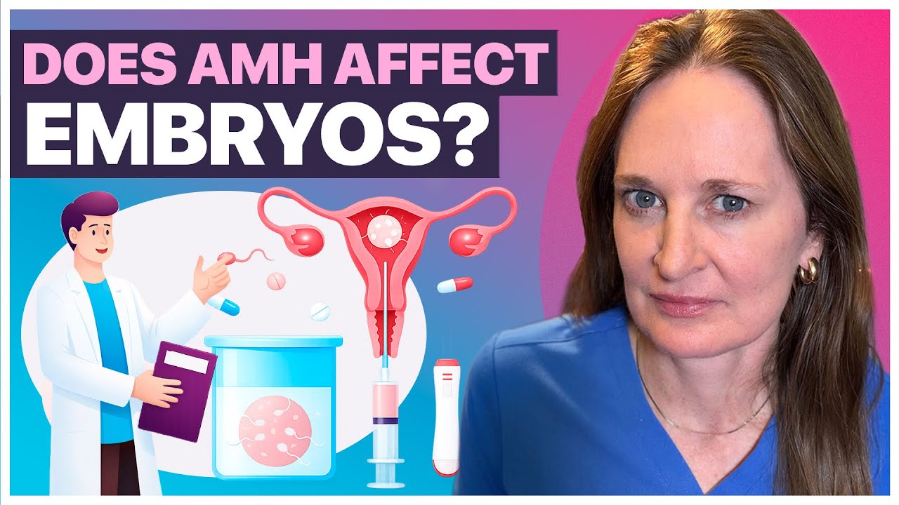 AMH and Embryo Quality: What the Research REALLY Shows (PGT-A)