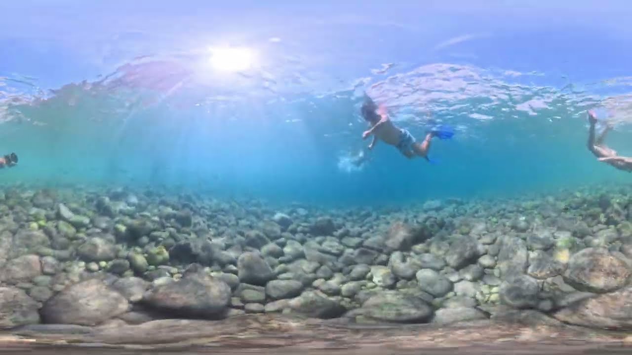VR360 | The Clearest Water You’ll Ever See 8K