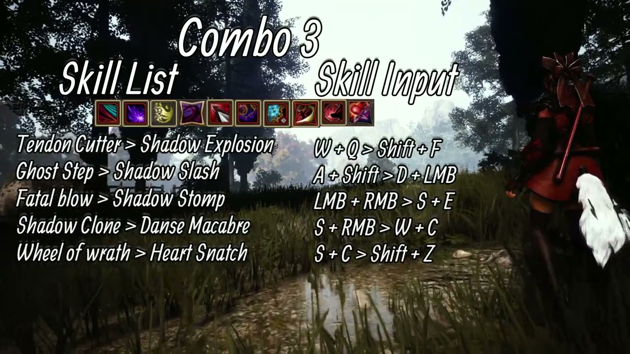 Black Desert - Kunoichi Combos | Succession | Beginner 2022