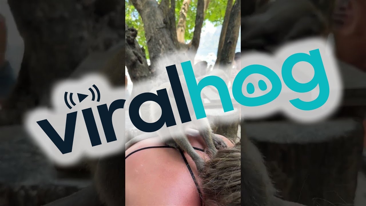 Monkey Jumps on Woman's Back at Monkey Beach || ViralHog