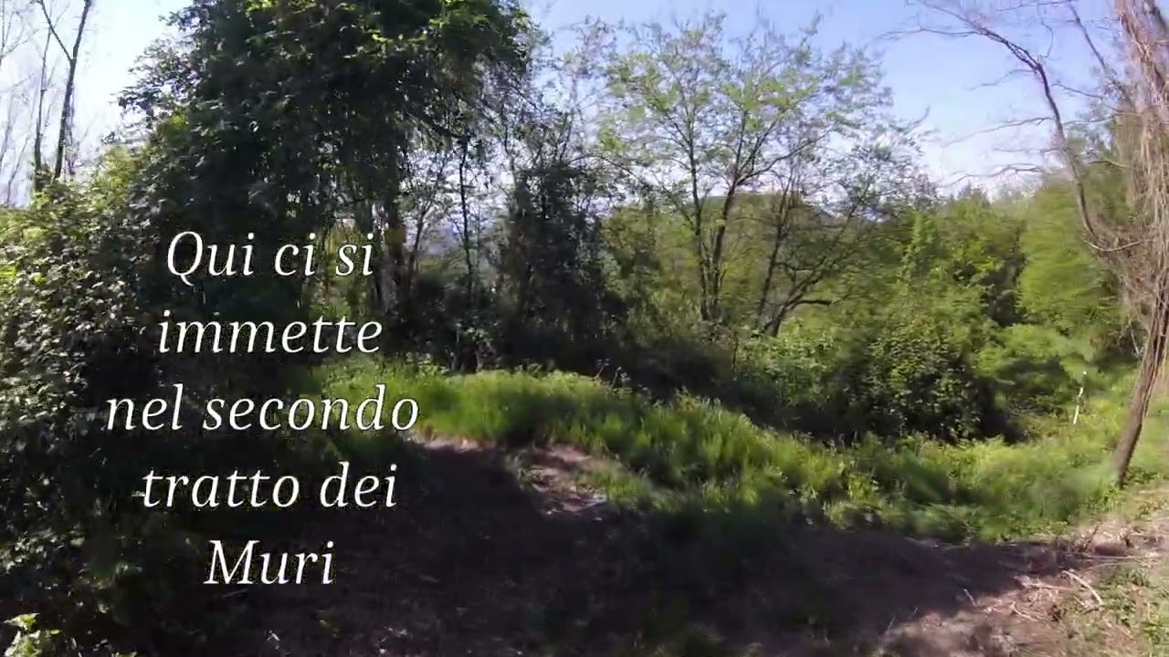 Variante trail Muri