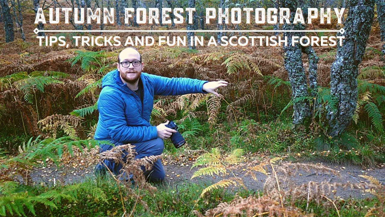 Autumn Colour in a Scottish Forest | Landscape Photography Vlog