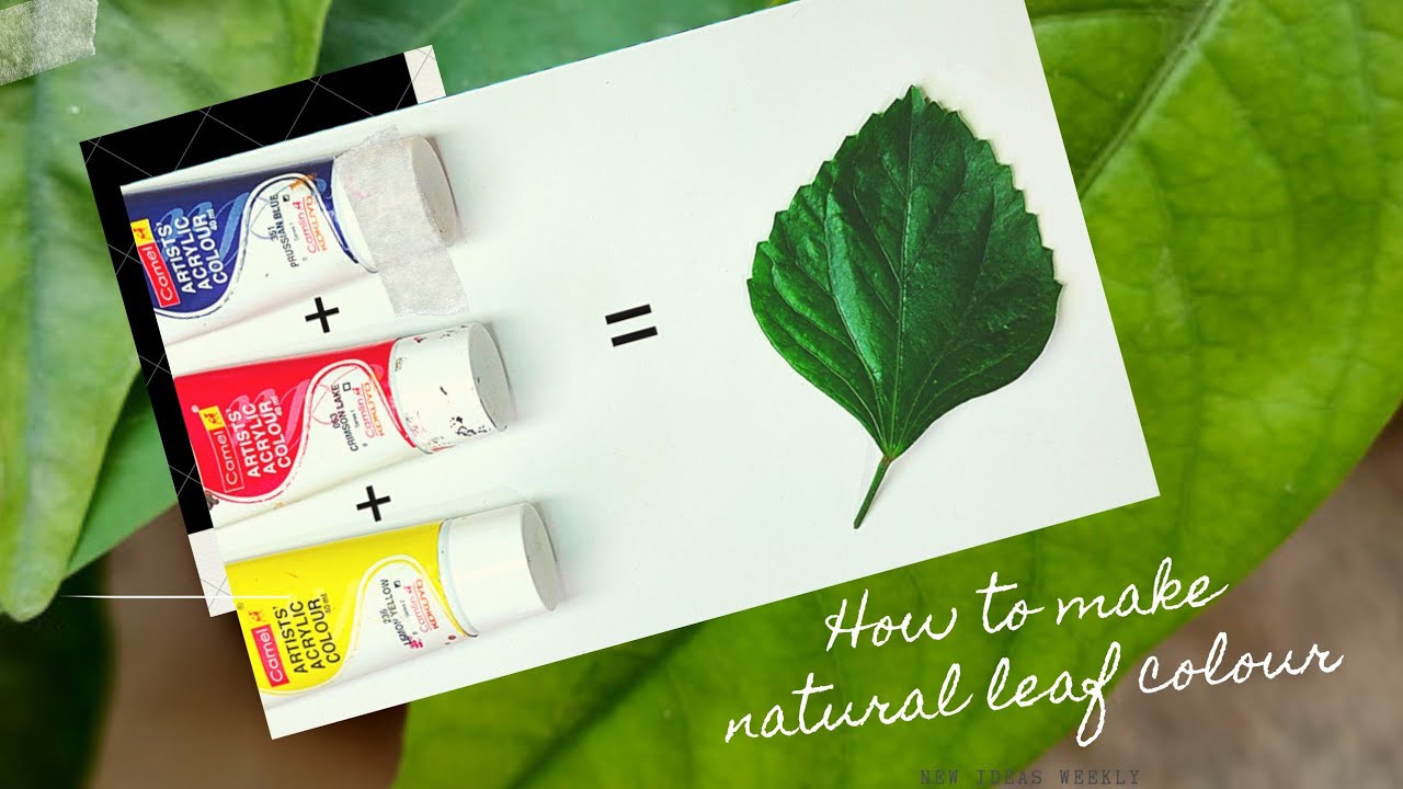 How to make natural leaf \SAP GREEN  colour with primary colours | sap green colour mixing