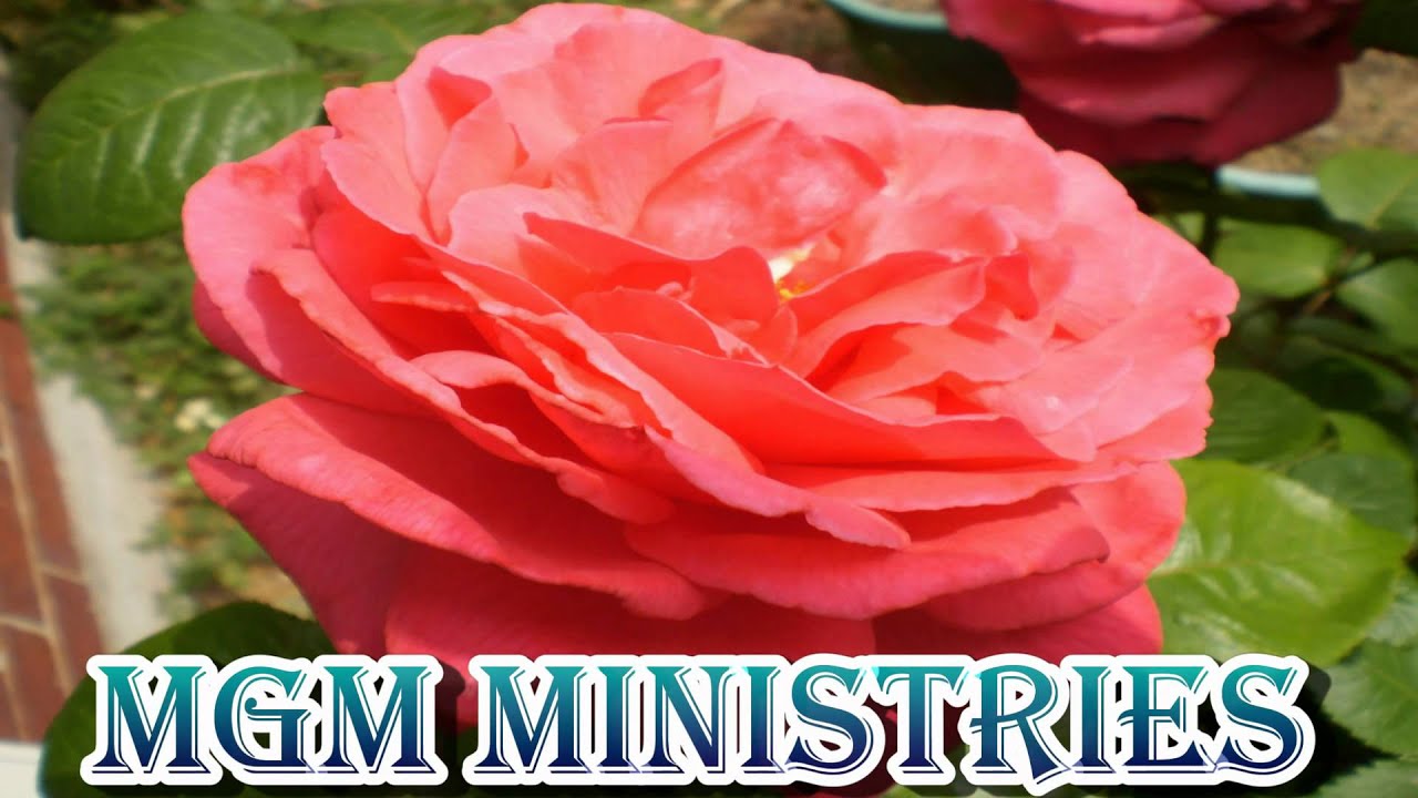 Vaazhthunne ennesuraajane - Malayalam Christian Song