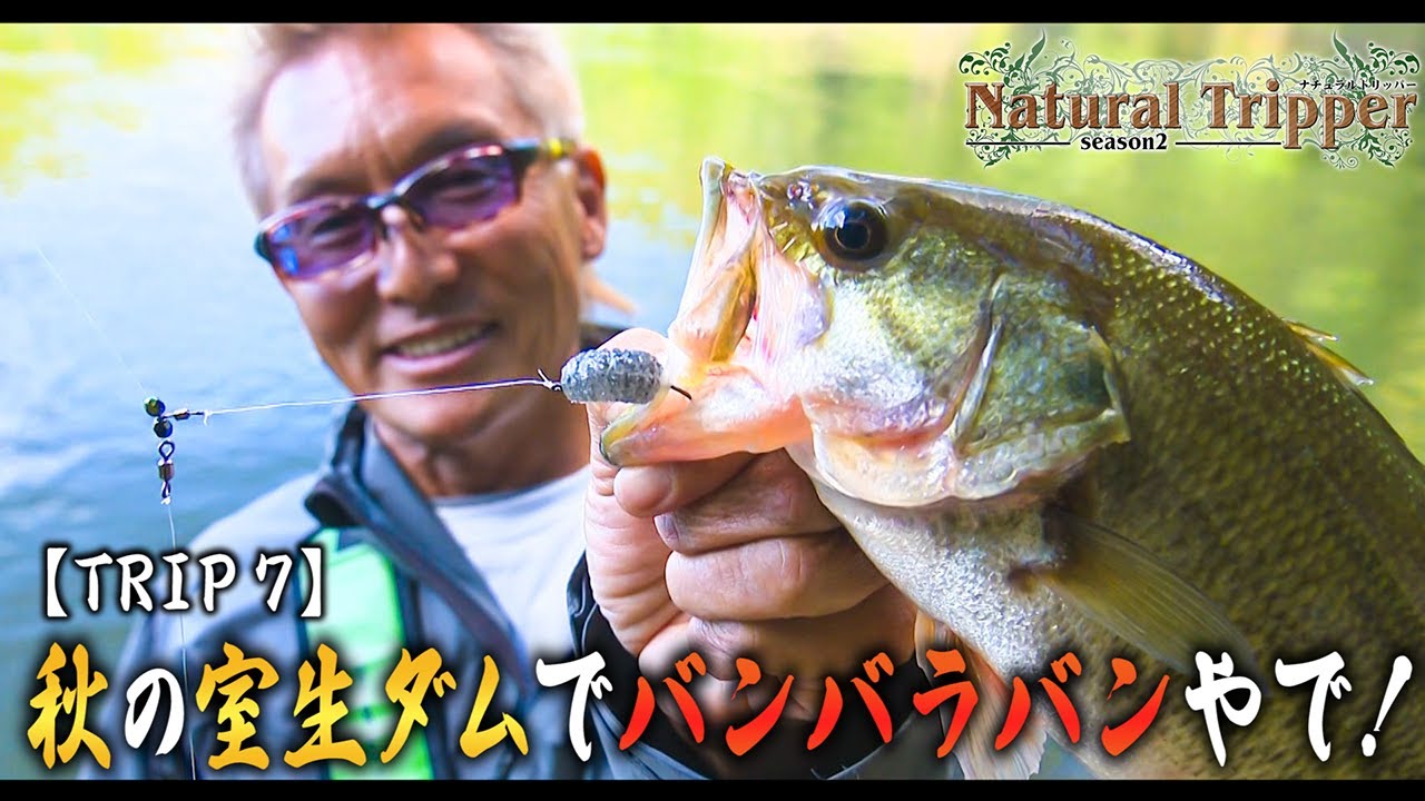 【Natural Tripper Season2】TRIP7 秋の室生ダムでバンバラバンやで！【issei × 釣りビジョン】