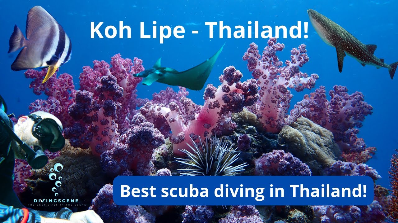 Koh Lipe - Thailand - Best Scuba Diving Location in Thailand! (Short Docu!)