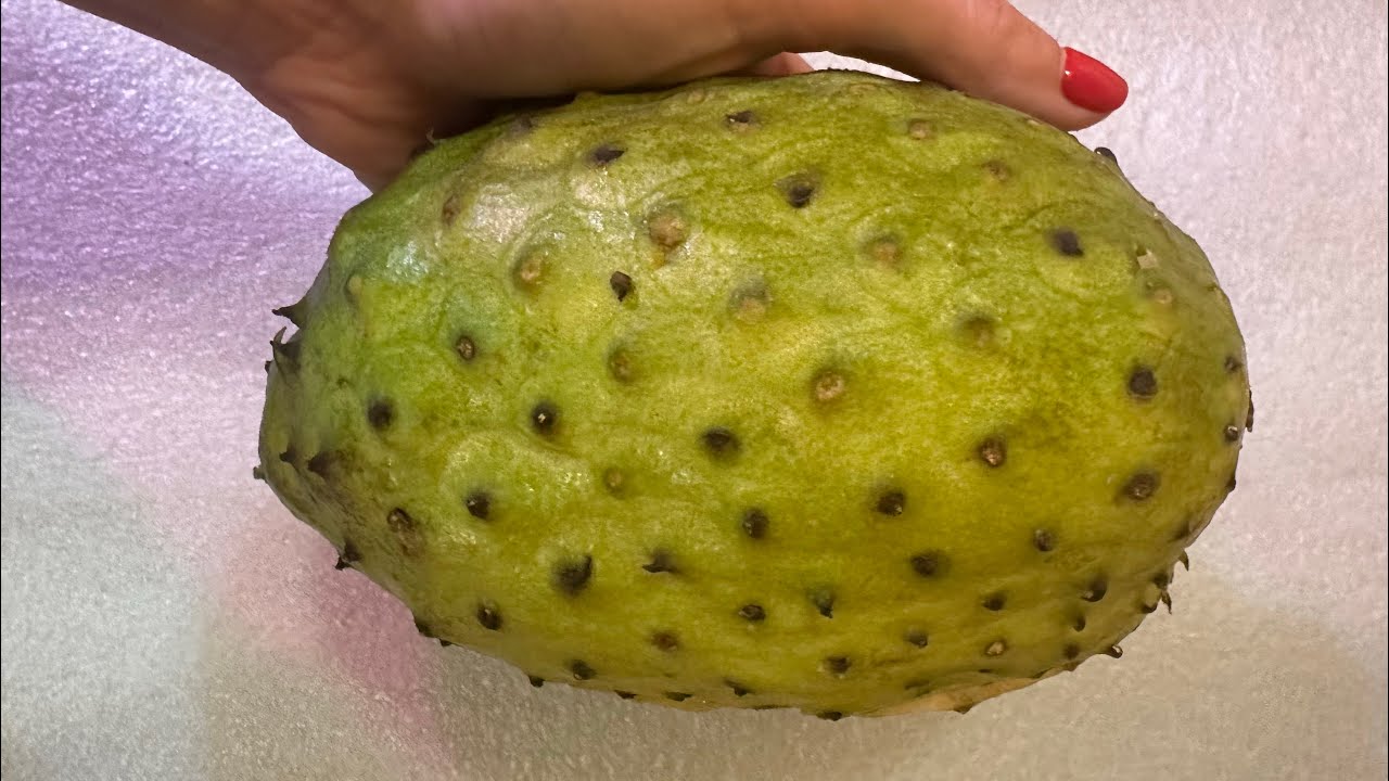 ДОМАШНІЙ ПЛІД СОУ-СЕП (ГУАНАБАНА) #anonna #soursop #guanabana #shorts 