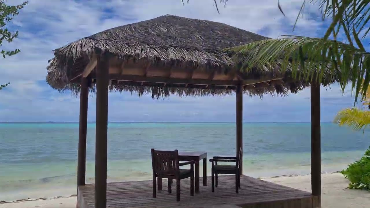 Malediwy. Canareef Resort Maldives. Kwiecień - Maj 2024
