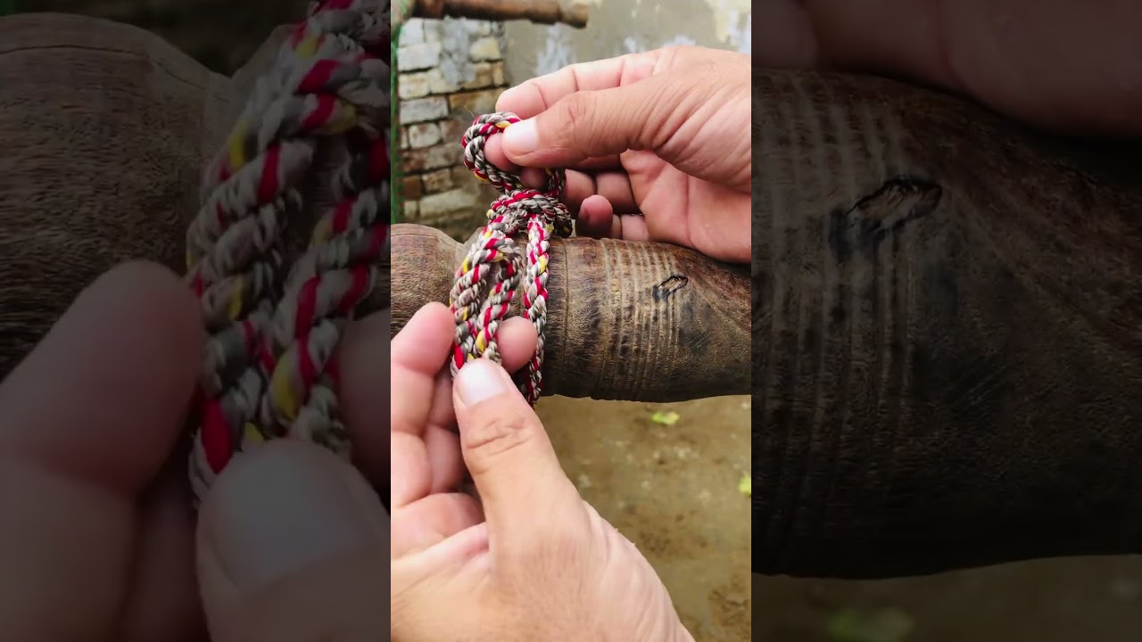 Easy knot skills 👌 