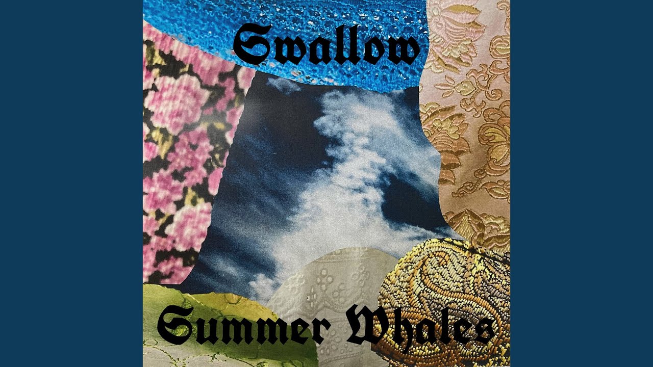 Swallow