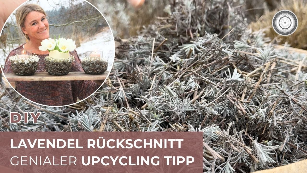 DIY - Du wirst STAUNEN, welchen COOLEN OSTER DEKO TIPP ich mit nur Stauden Rückschnitt mache