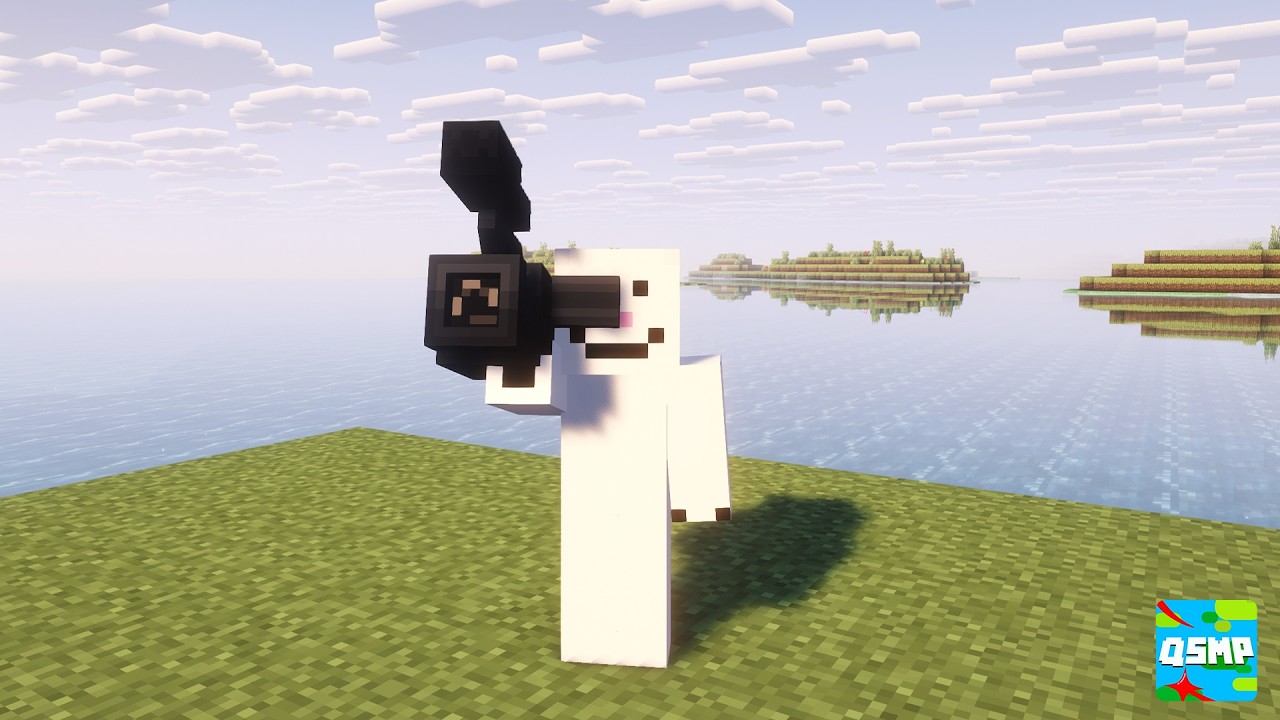 QSMP 2 DOCUMENTARY