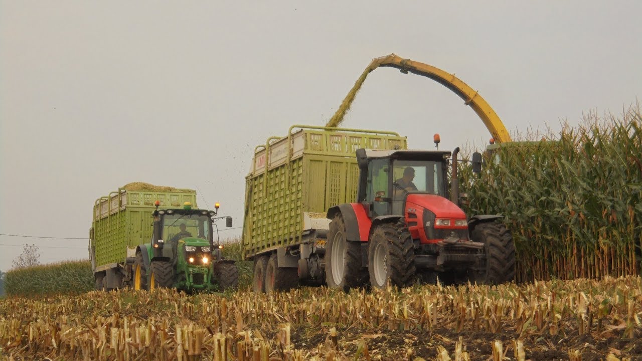 Kukurydza 2017 Na Kujawach - 5 razy John Deere/Valtra, Same /Kubota